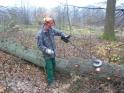 Bild 092